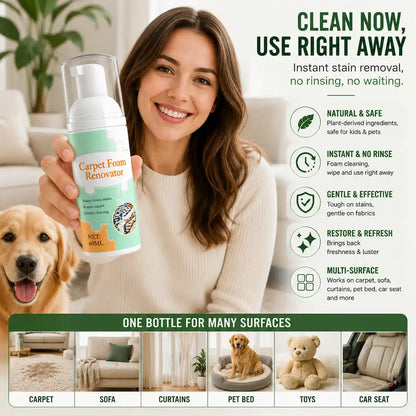 Waterless Carpet Foam Stain Remover with Towel